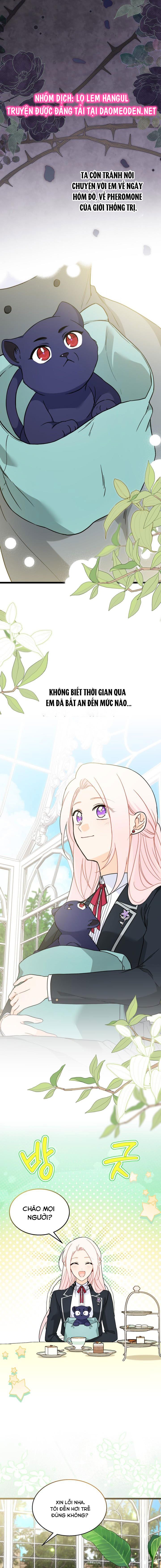 mối liên kết giữa báo đen và bé thỏ chapter 163 1