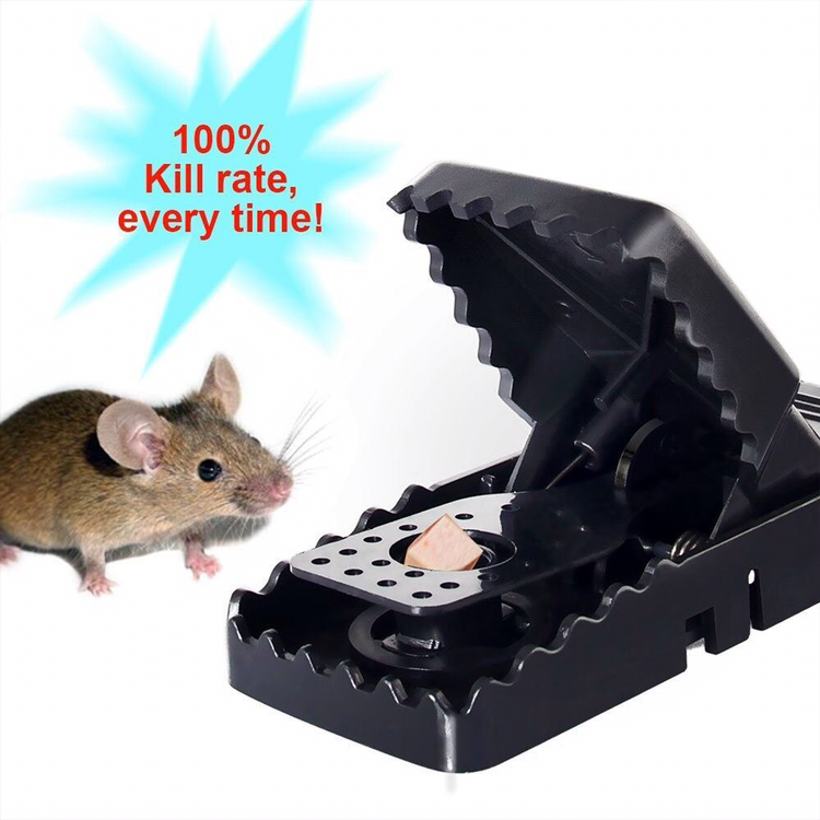 bẩy chuột thông minh