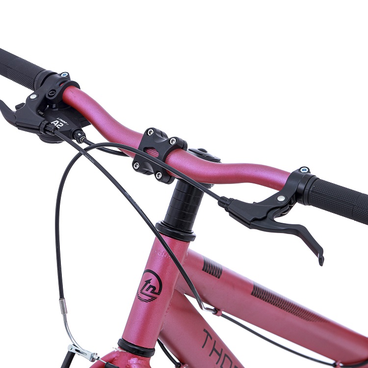 Xe đạp Thống Nhất thể thao GN06-26 2.0 pro Blackpink phiên bản đặc biệt