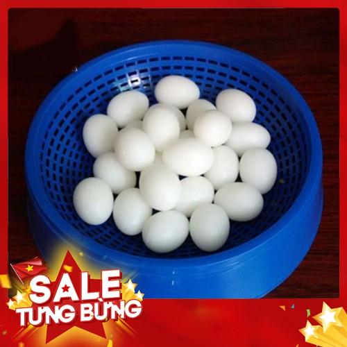 COMBO 20 QUẢ TRỨNG GIẢ CHO CHIM BỒ CÂU