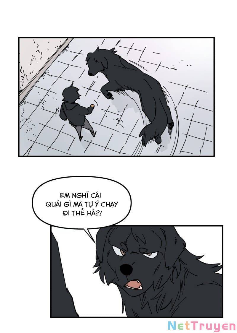 lumine - cội nguồn ánh sáng chapter 159 17