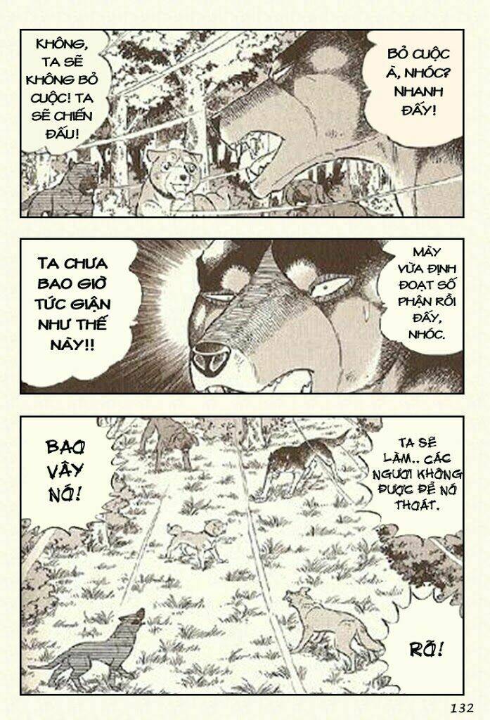 ginga densetsu riki chapter 4 27