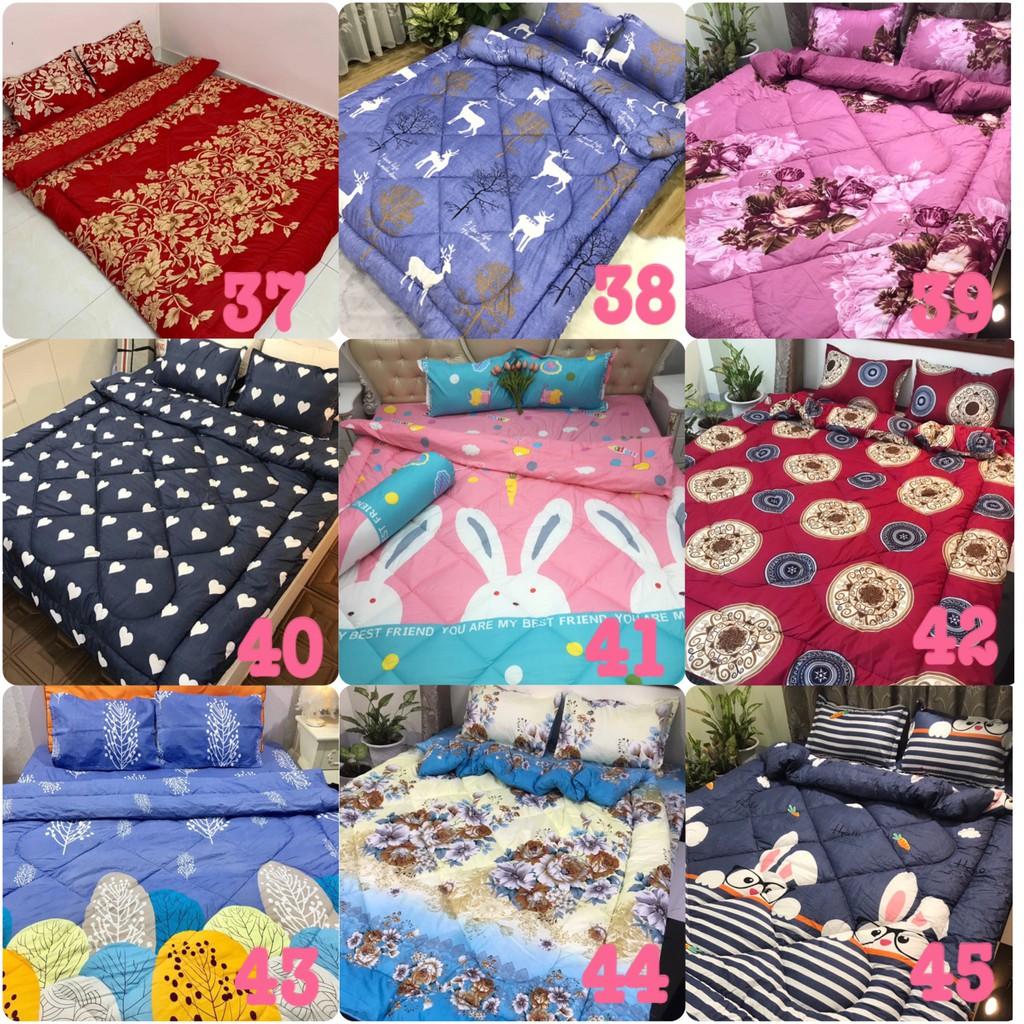 Bộ chăn phao ga gối poly cotton,được chọn mẫu,cúc họa mi vàng