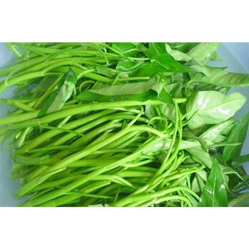 Hạt Giống Rau Muống Lá Lớn RADO Dễ Trồng, Sinh Trưởng Khỏe (50gr) - Trồng Hạt Giống Rau Củ Quả, Rau Sạch Bằng Đất Sạch