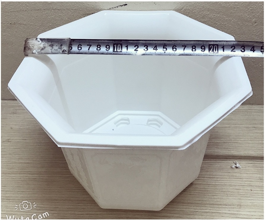 10 Chậu Nhựa Bát Giác 170x120 Màu Trắng