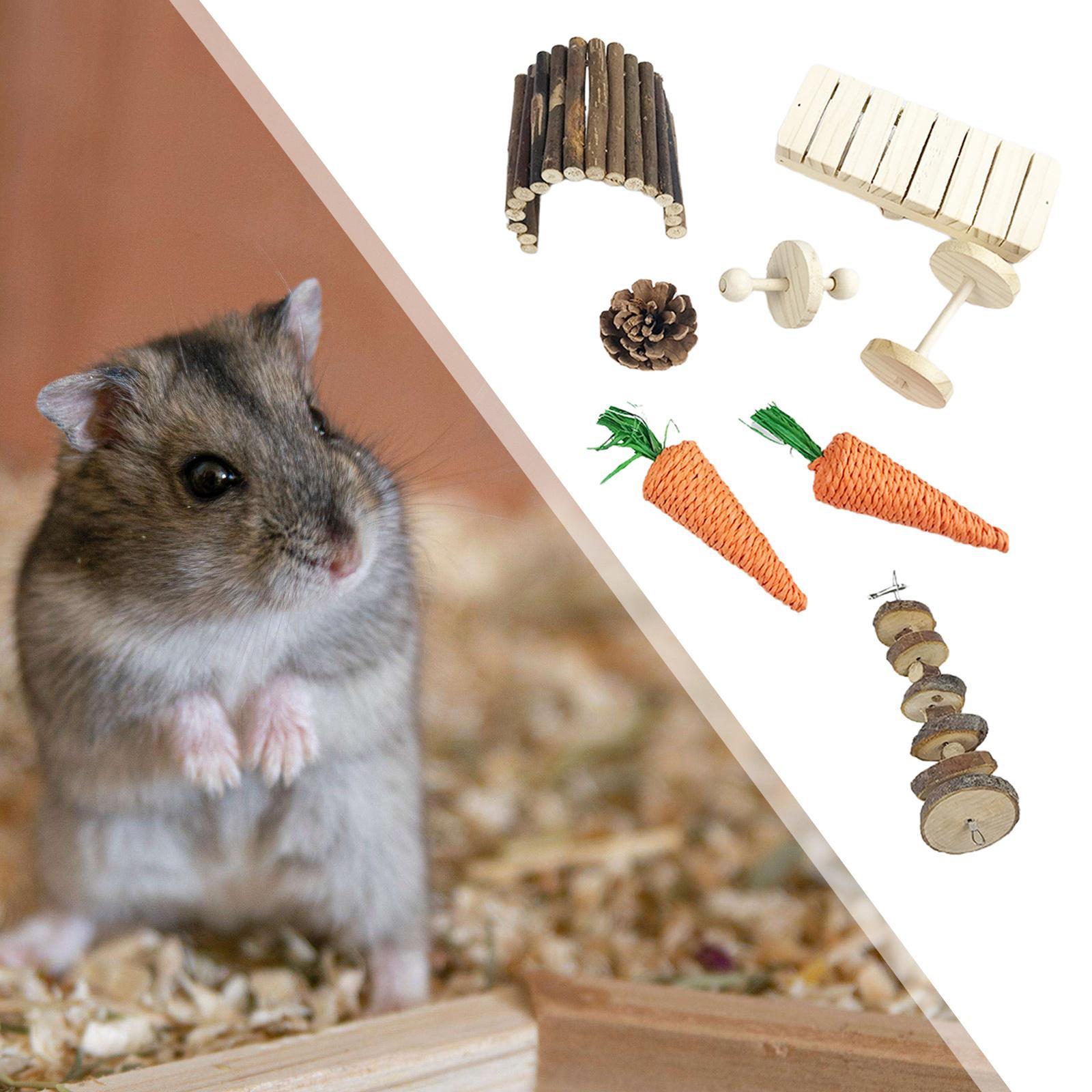8Pcs Hamster Chew Toys Set Bunnies Groundhog Guinea Pig Wooden Molar Toys