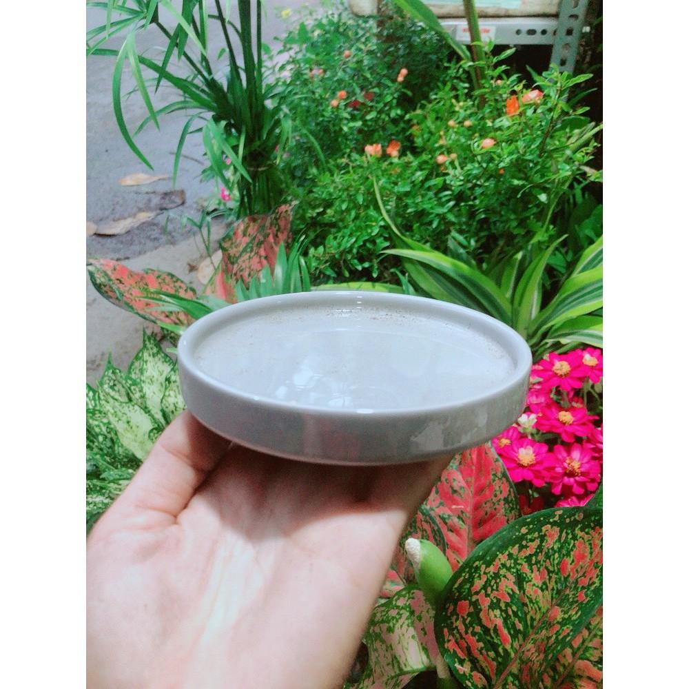 Đĩa Lót Chậu