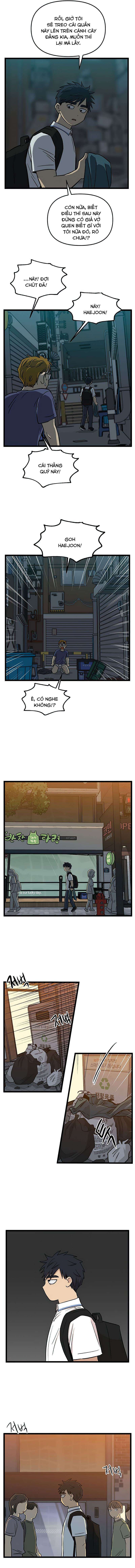 no home - không nhà chapter 145 8