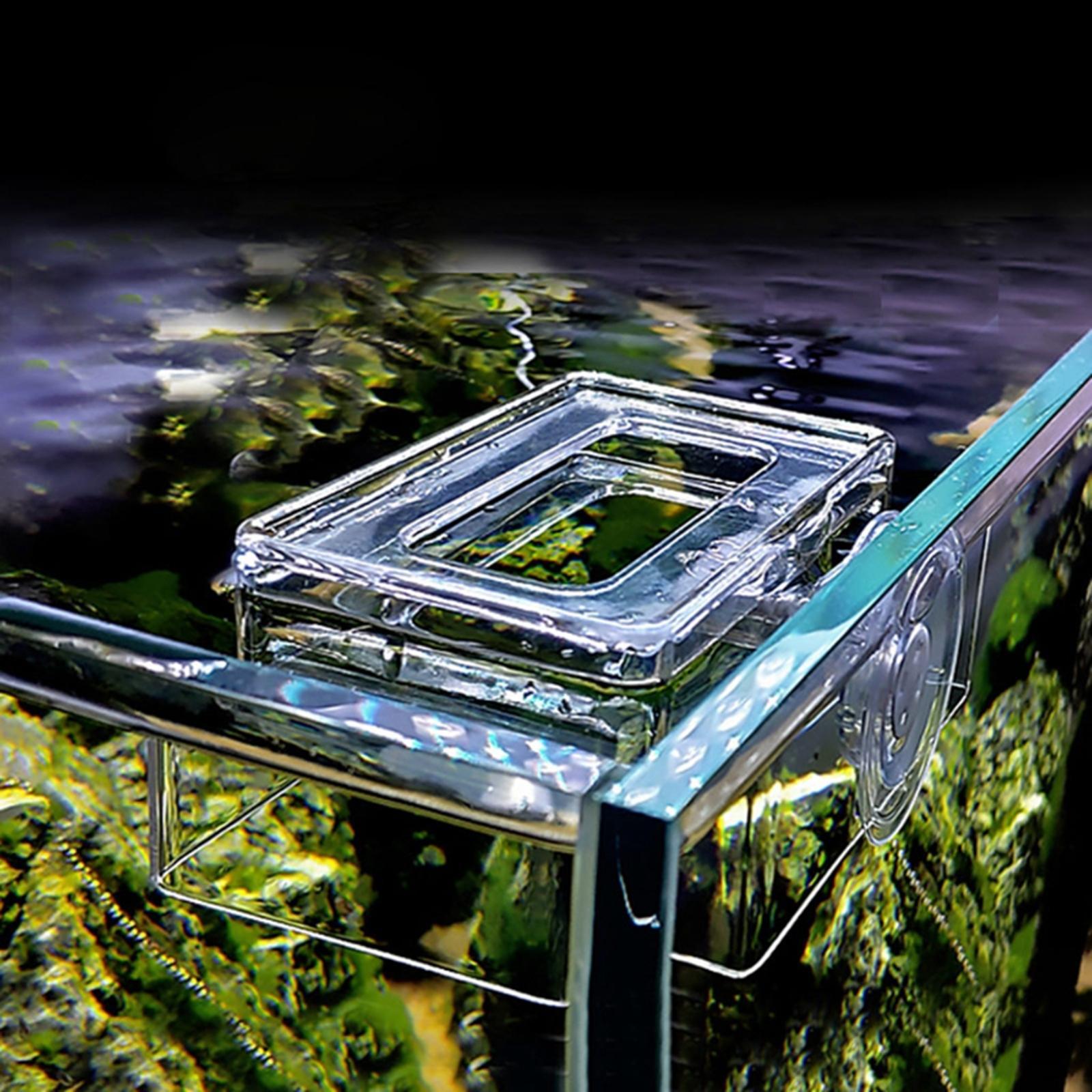 Fish Feeding Aquarium Feeder, Feeding Durable with Suction Cup Fish Feeder for Fish Tank Worm Fish African Dwarf Frog