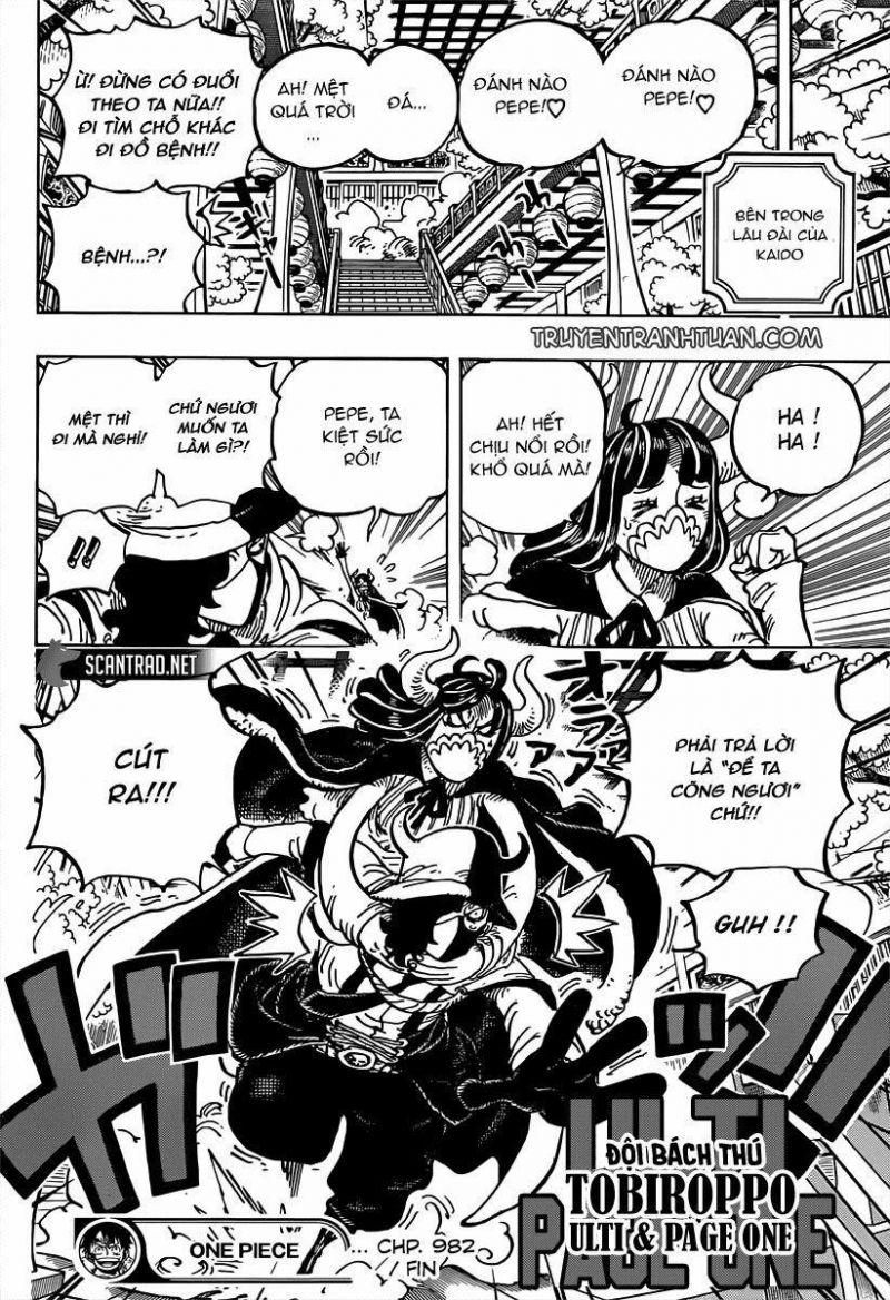 đảo hải tặc - one piece chapter 982 16