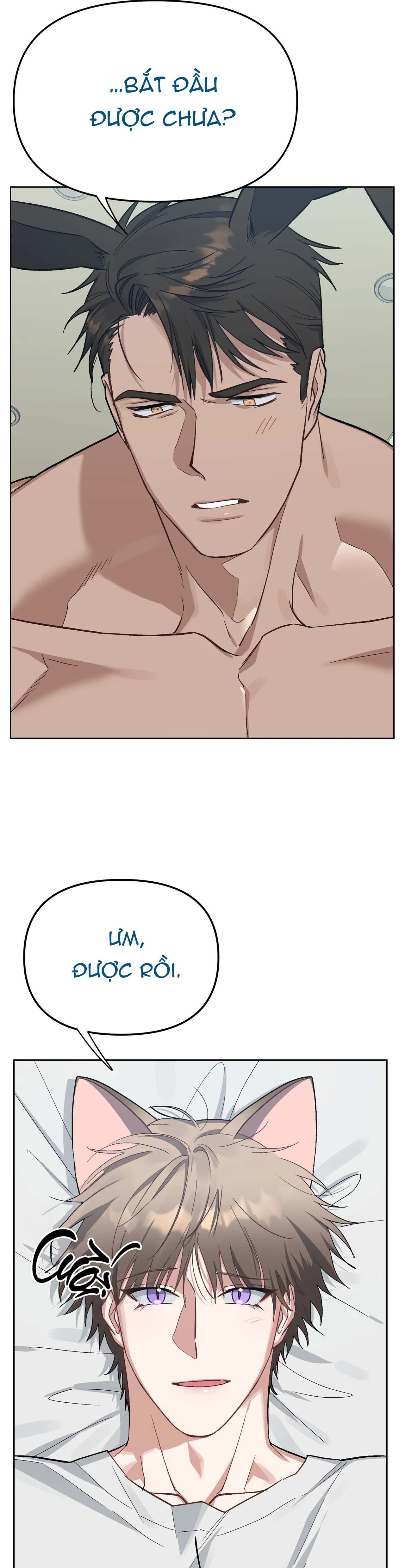 thỏ xuất tinh trong vòng 3 giây chapter 4 6