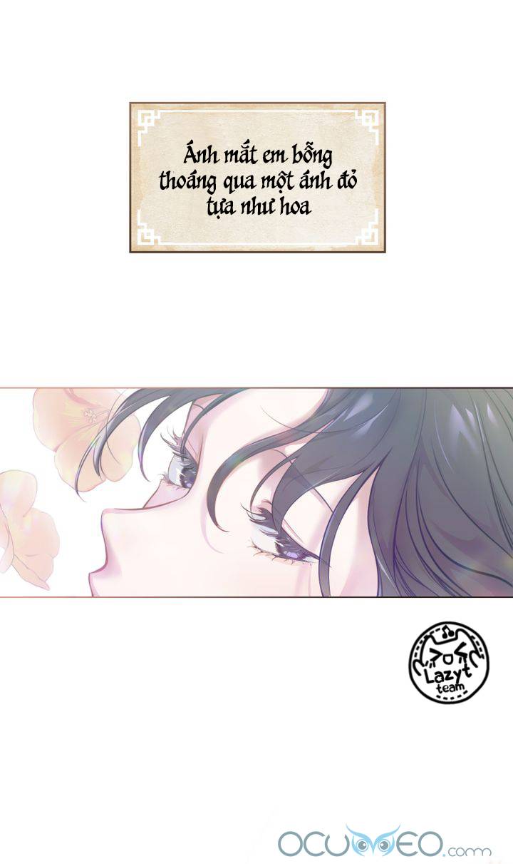 khi hoa nở chapter 0 29