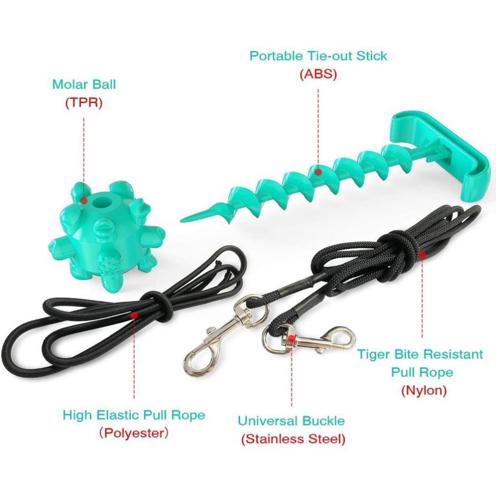 Dụng cụ Luyện Răng Thú Cưng Vệ Sinh răng Khoẻ và Sạch Pin Dog Leash