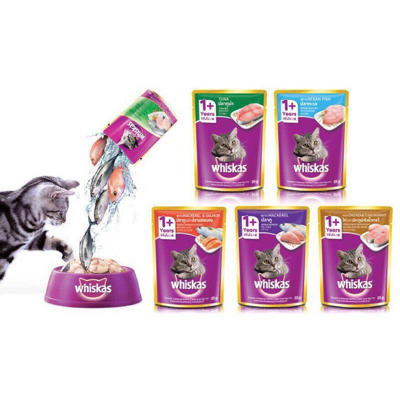 Pate whiscat cho mèo lớn