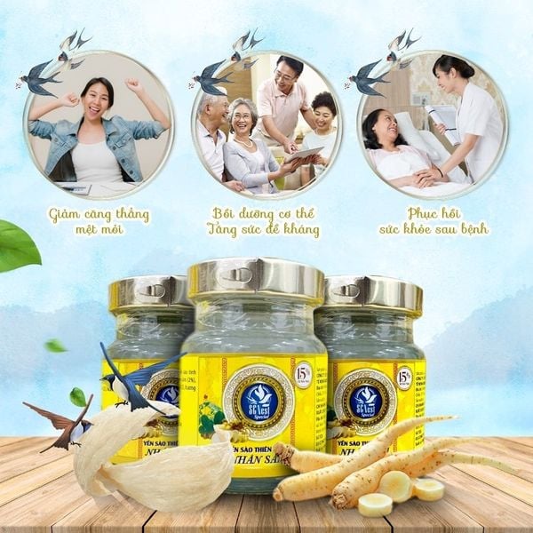 Yến Sào Nguyên Chất Nhân Sâm SCNest Special