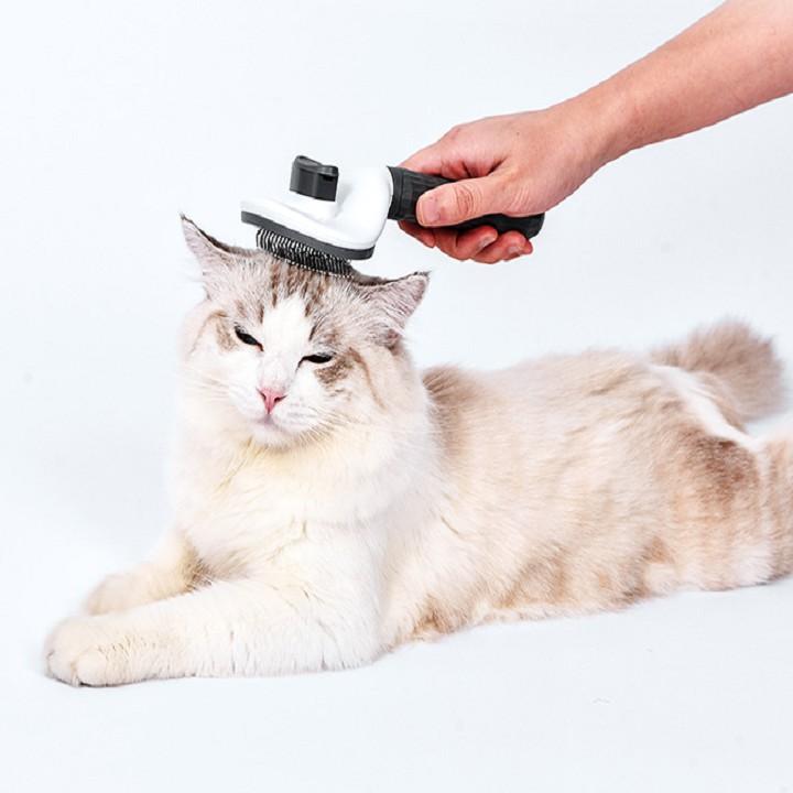 Lược chải long cho chó , mèo