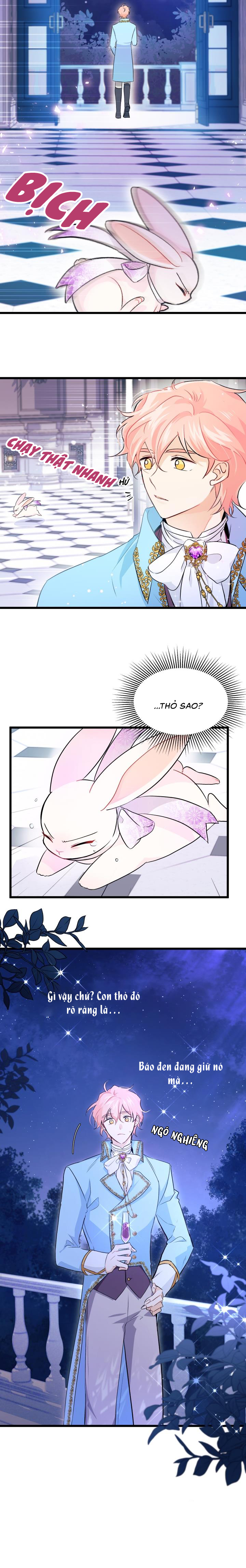 mối liên kết giữa báo đen và bé thỏ chapter 20 3