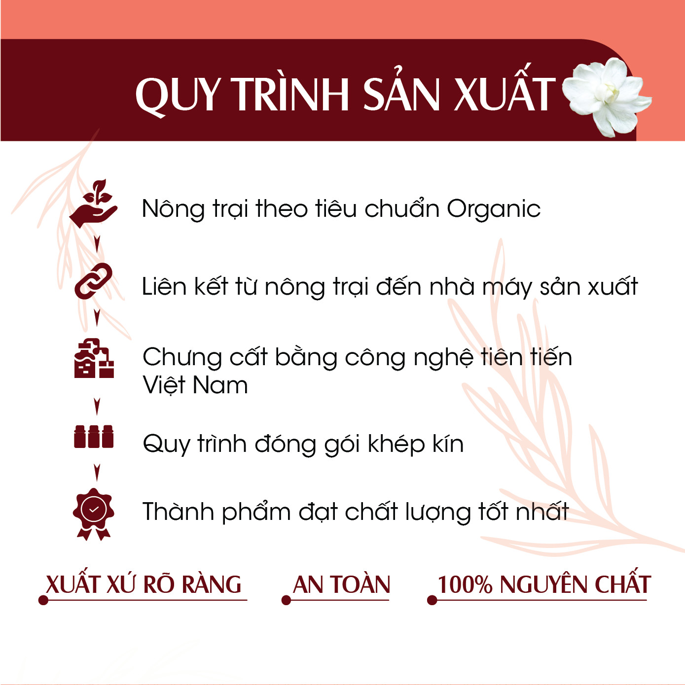 Combo 5 Tinh dầu Xịt phòng Bưởi Hữu Cơ Organic 24Care 100ML/Chai