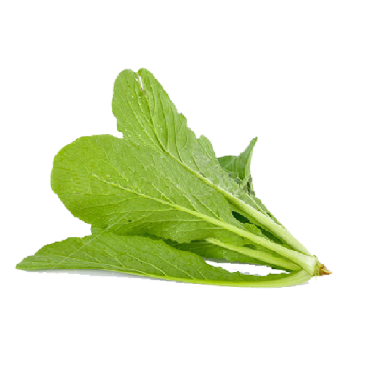 Hạt giống rau cải mơ đăm 3