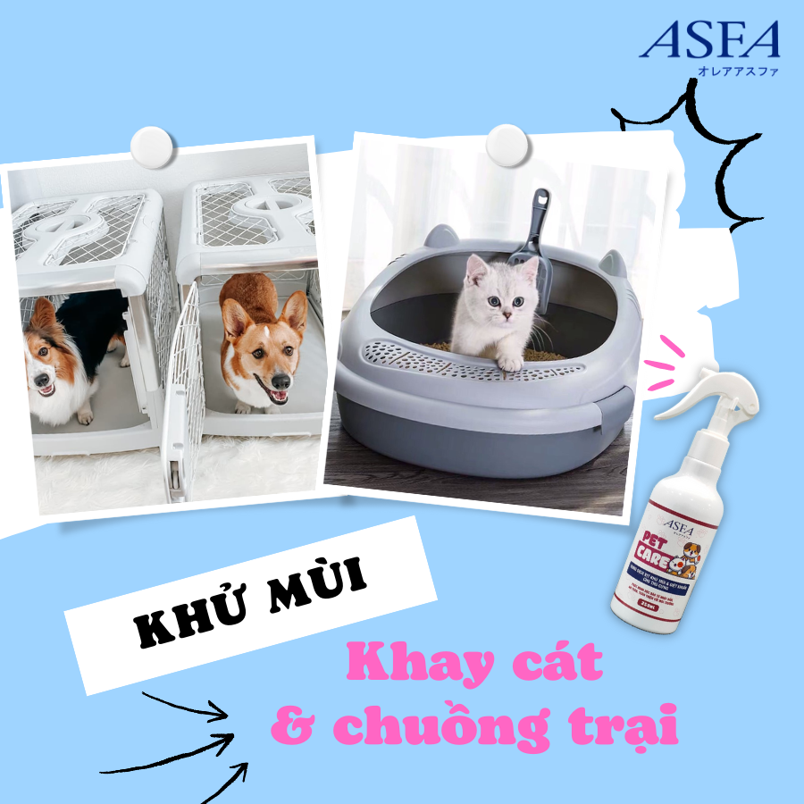 Xịt Khử Mùi, Diệt Khuẩn An Toàn Cho Thú Cưng ASFA Pet Care 250ml