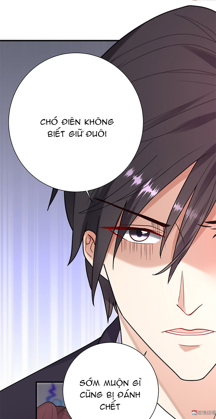 tổng tài truy thê: phu nhân lại chạy trốn chapter 23 27