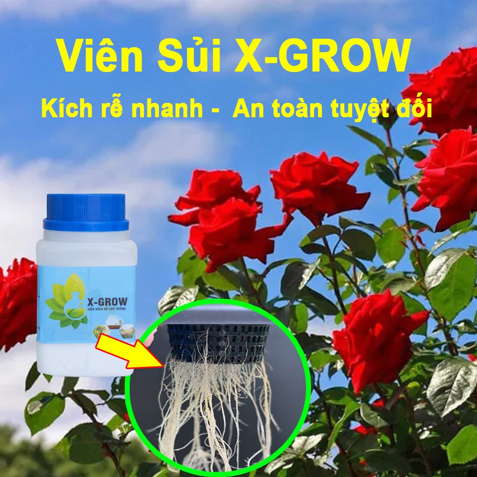 Thuốc,Viên Kích Rễ Cây Trồng X-GROW - Cung Cấp Dinh Dưỡng, Phục Hồi Cây, Tránh Sâu Bệnh