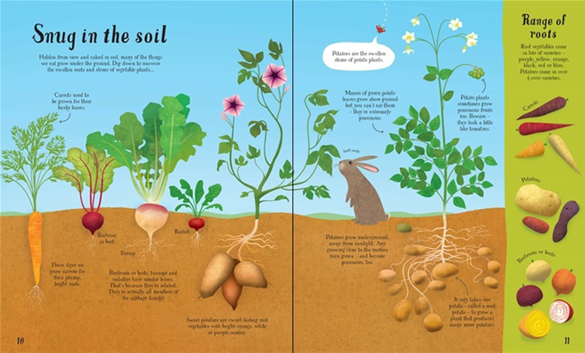 Sách tiếng Anh - Usborne It all starts with a seed… how food grows