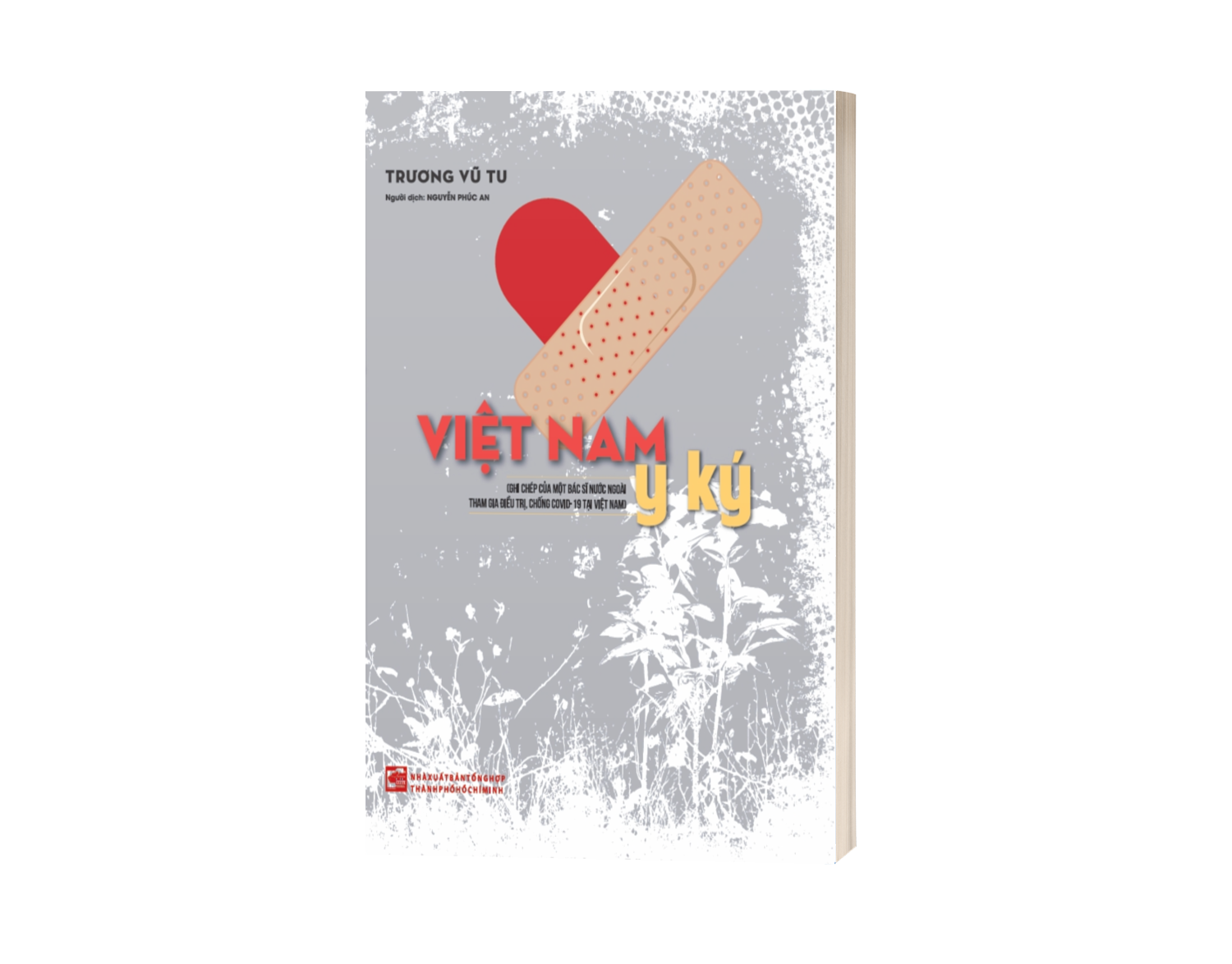Việt Nam Y Ký