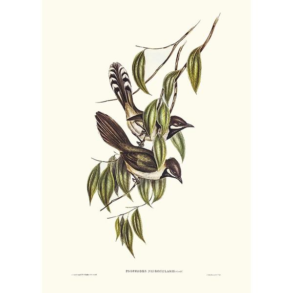 Tranh canvas vintage - Phường chèo vai trắng - BVT-42