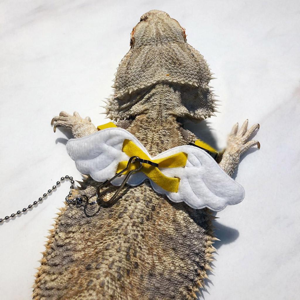 Bearded Dragon Reptile Lizard Gecko Turtle Tortoise Adjustable Harness Leash