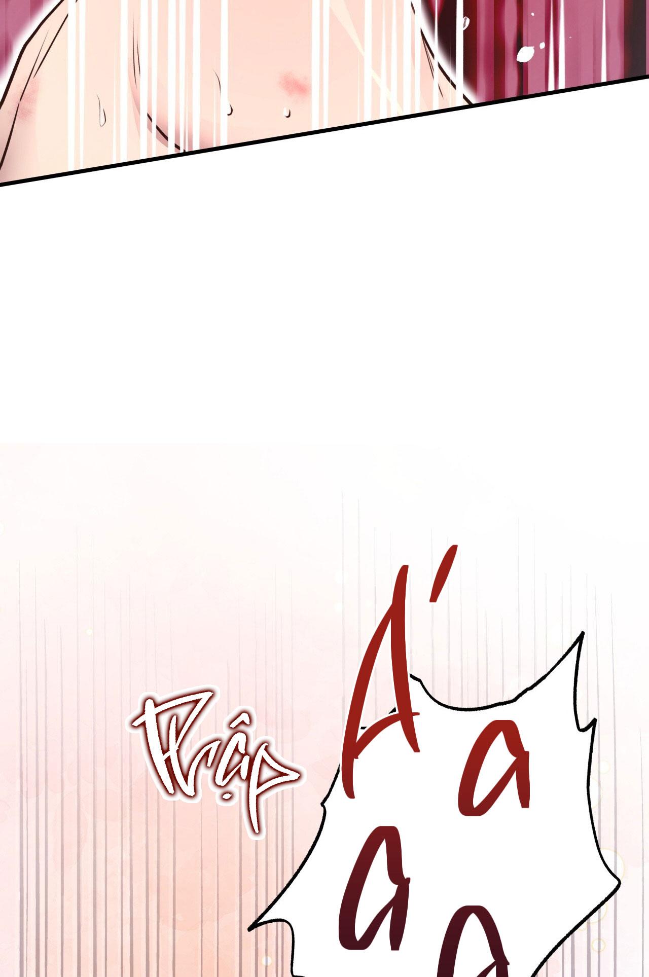 mật gấu chapter 29 40