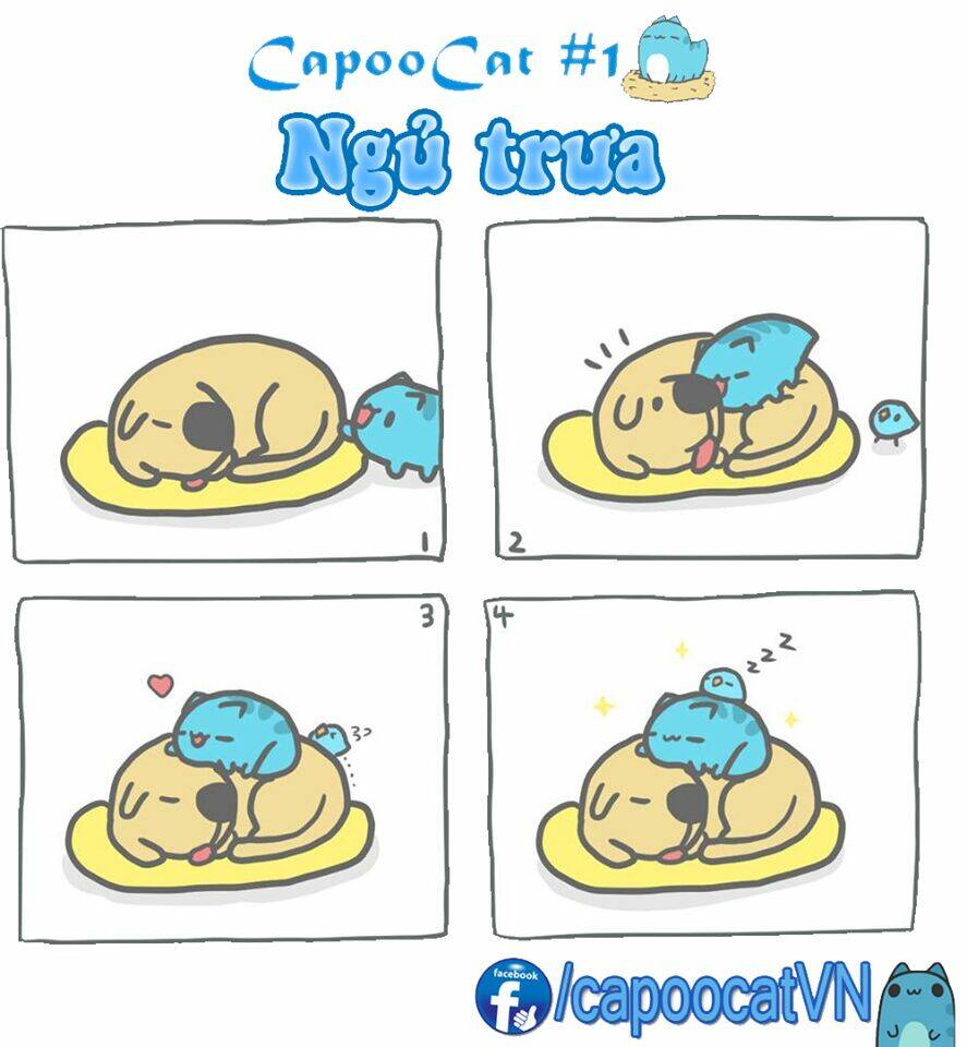 capoo cat chapter 1 1