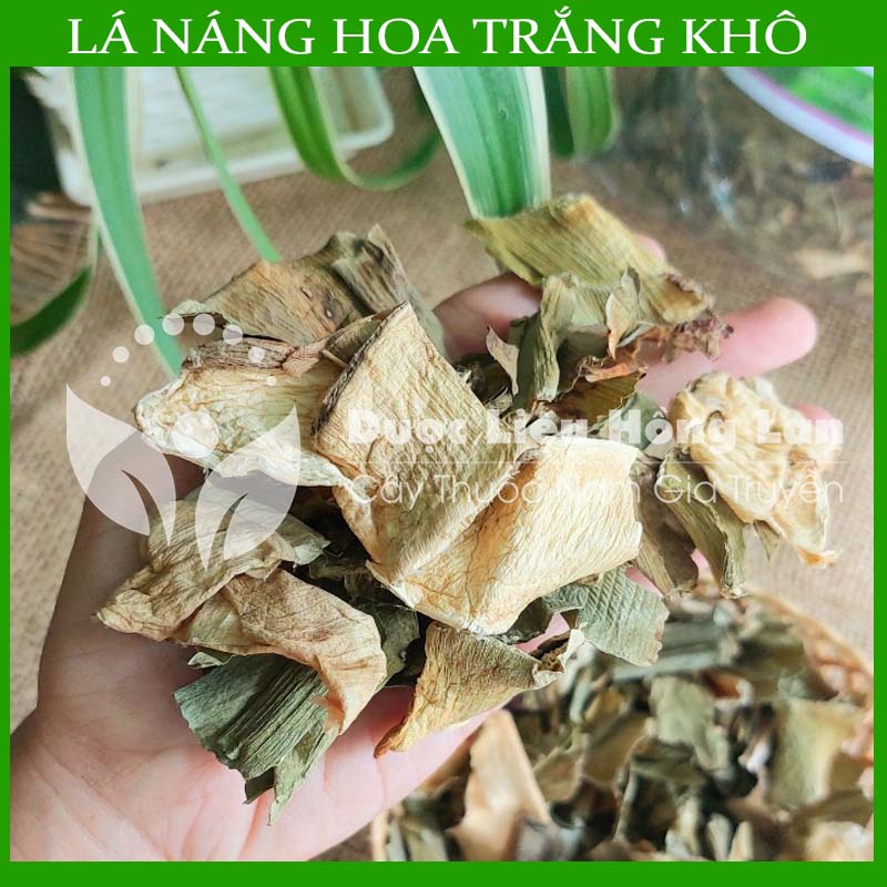 Lá náng hoa trắng khô sạch đóng gói 500gram