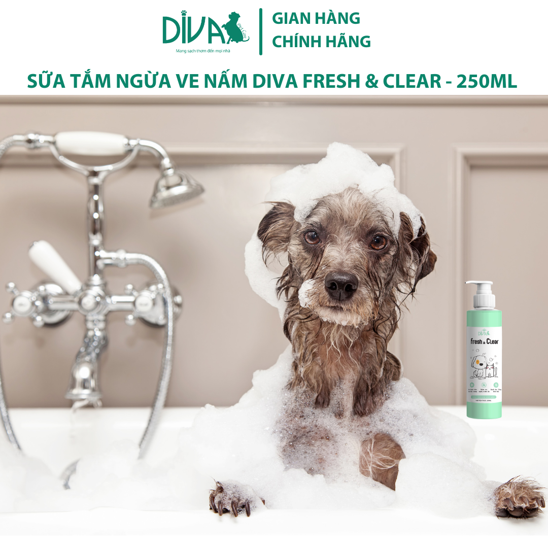 SỮA TẮM NGỪA VE NẤM CHO CHÓ MÈO DIVA FRESH &amp; CLEAR 250ML