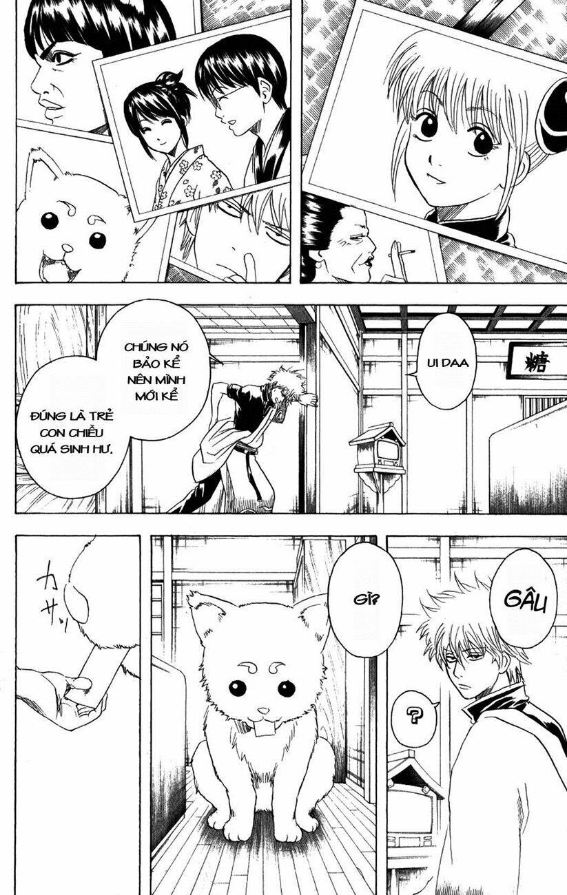 gintama - linh hồn bạc chapter 195 18