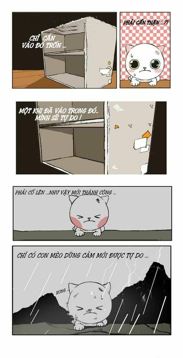 papi nyang chapter 1 18