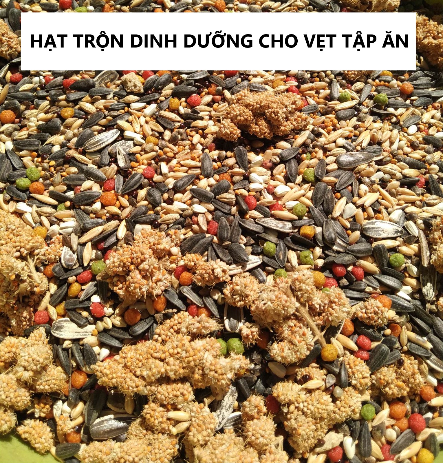 1KG HẠT TRỘN HOÀN CHỈNH  ĐẦY ĐỦ DINH DƯỠNG GIAI ĐOẠN TẬP ĂN CHO LOVEBIRD, COCK, PARROTLET...