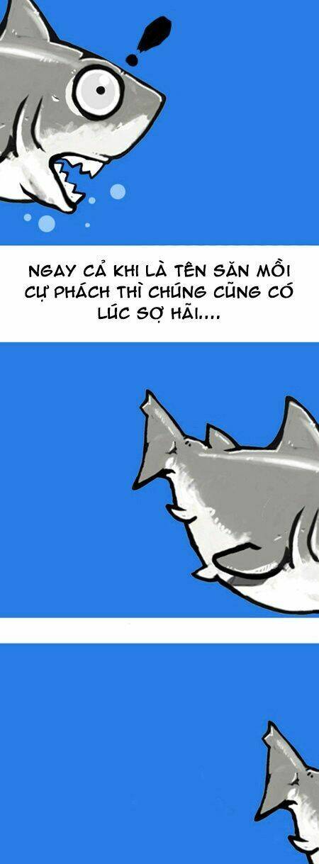 earth, human, and animal chapter 8 11