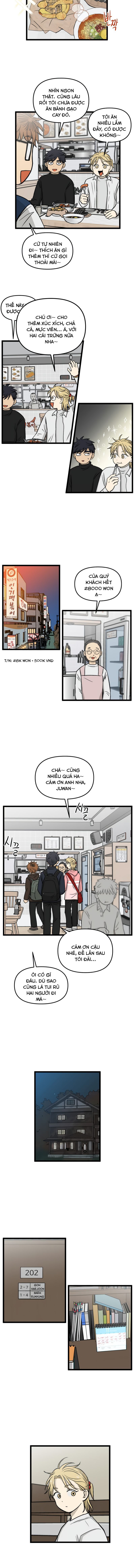 no home - không nhà chapter 186 5