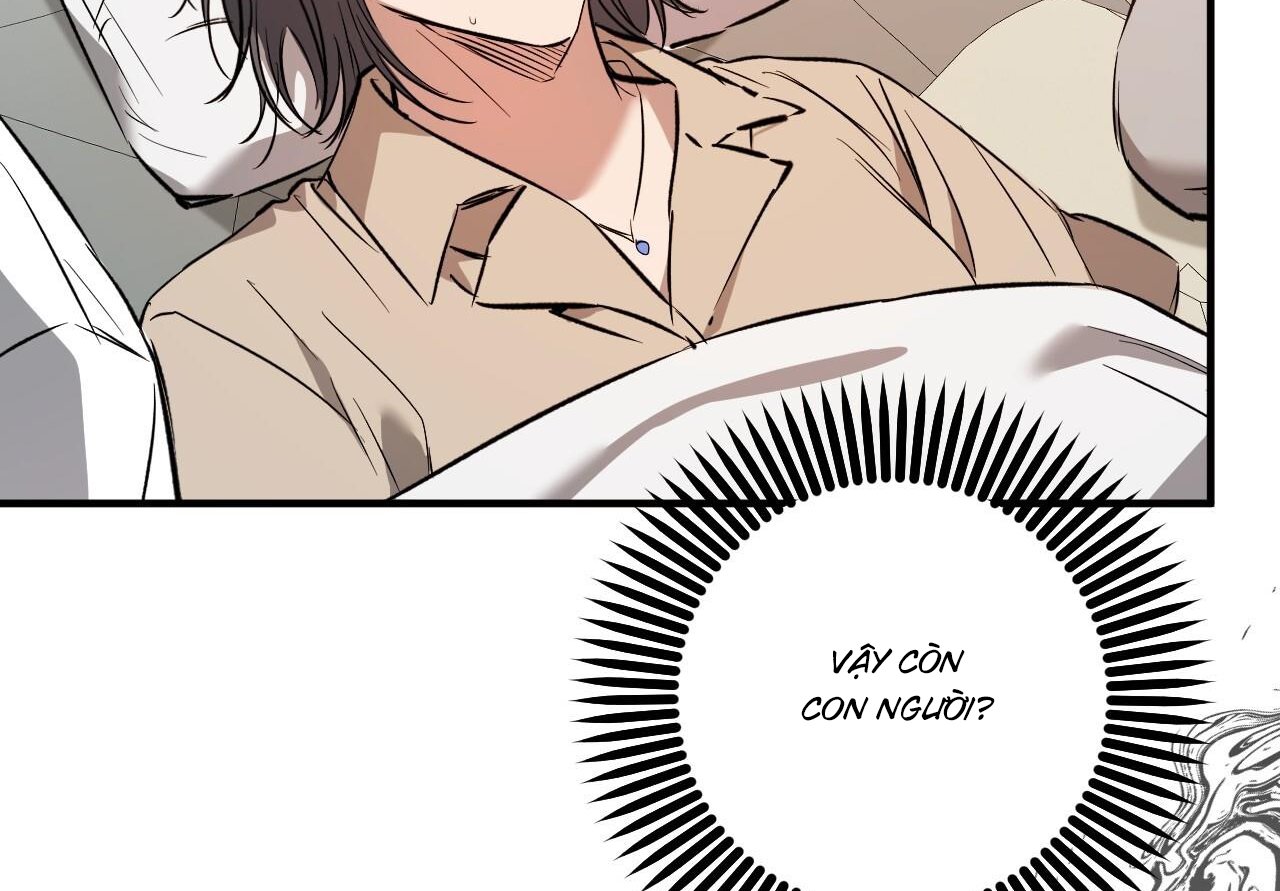 những chú thỏ của hapypy chapter 59 216