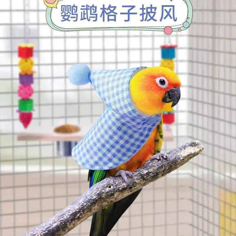 QUẦN ÁO CHO CHIM CẢNH CHIM VẸT CHIM PAROT CHIM SẺ DỄ THƯƠNG MÃ 2 XINH XẮN CHO CHIM THÚ CƯNG