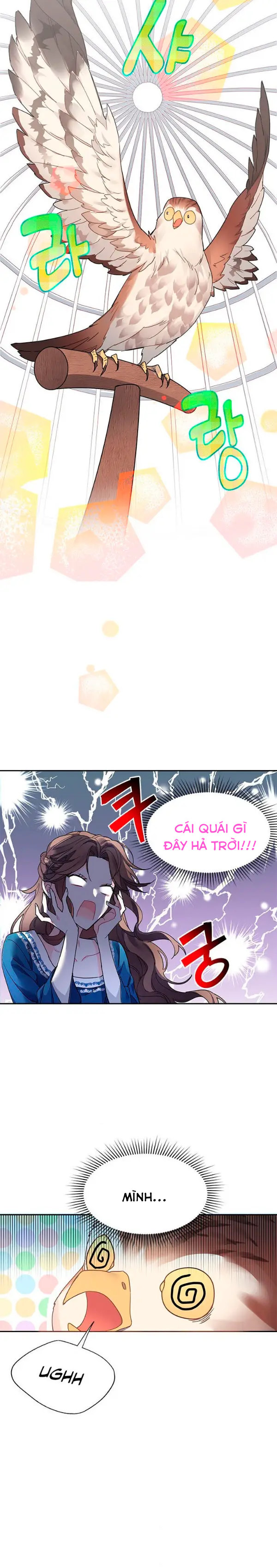 công chúa chim ưng cavier chapter 1.2 9