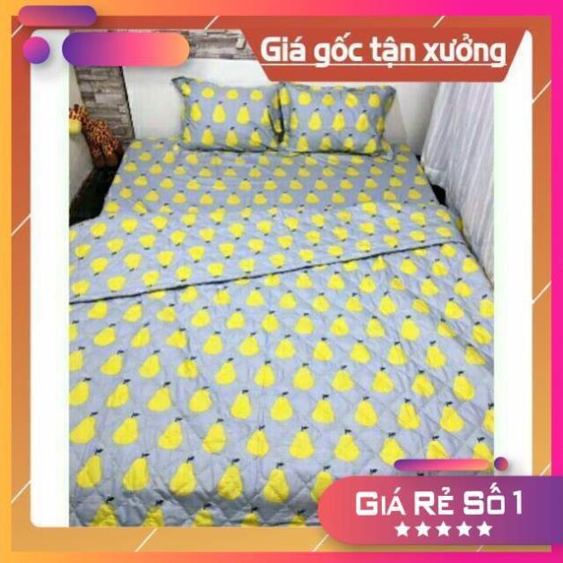 Bộ 4 món poly cotton Hàn Quốc 1m/m2.m4.m6.m8 giao màu ngẫu nhiên