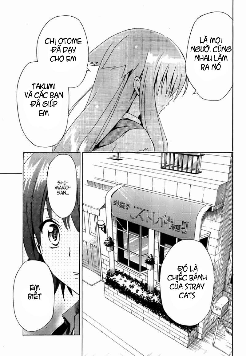 mayoi neko overrun! chapter 8 31