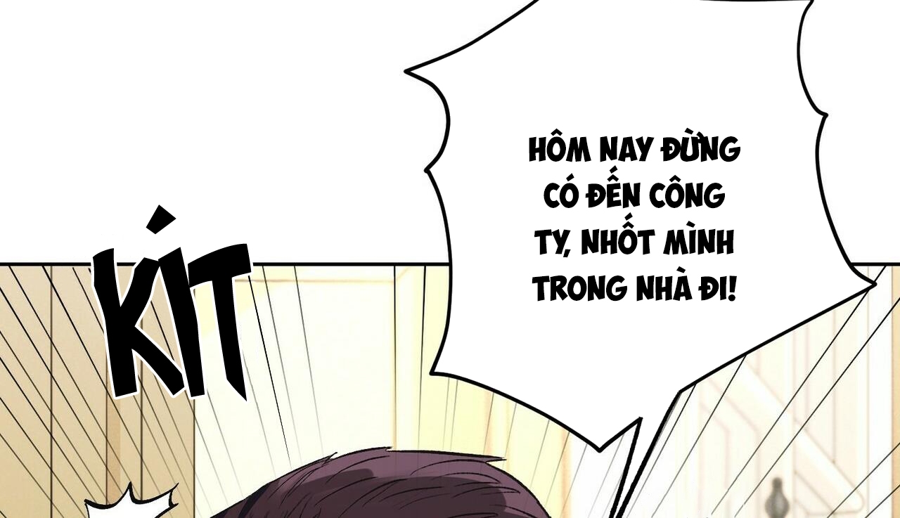 chàng dâu nhà họ kang chapter 24 129