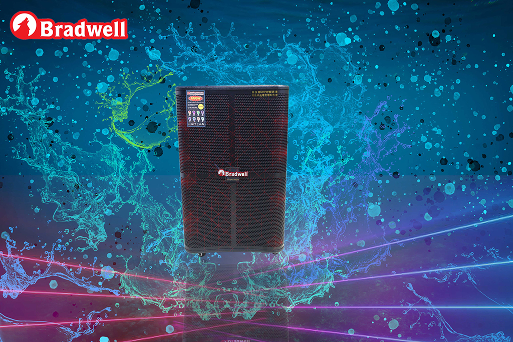 Loa Bluetooth best Bradwell BR9