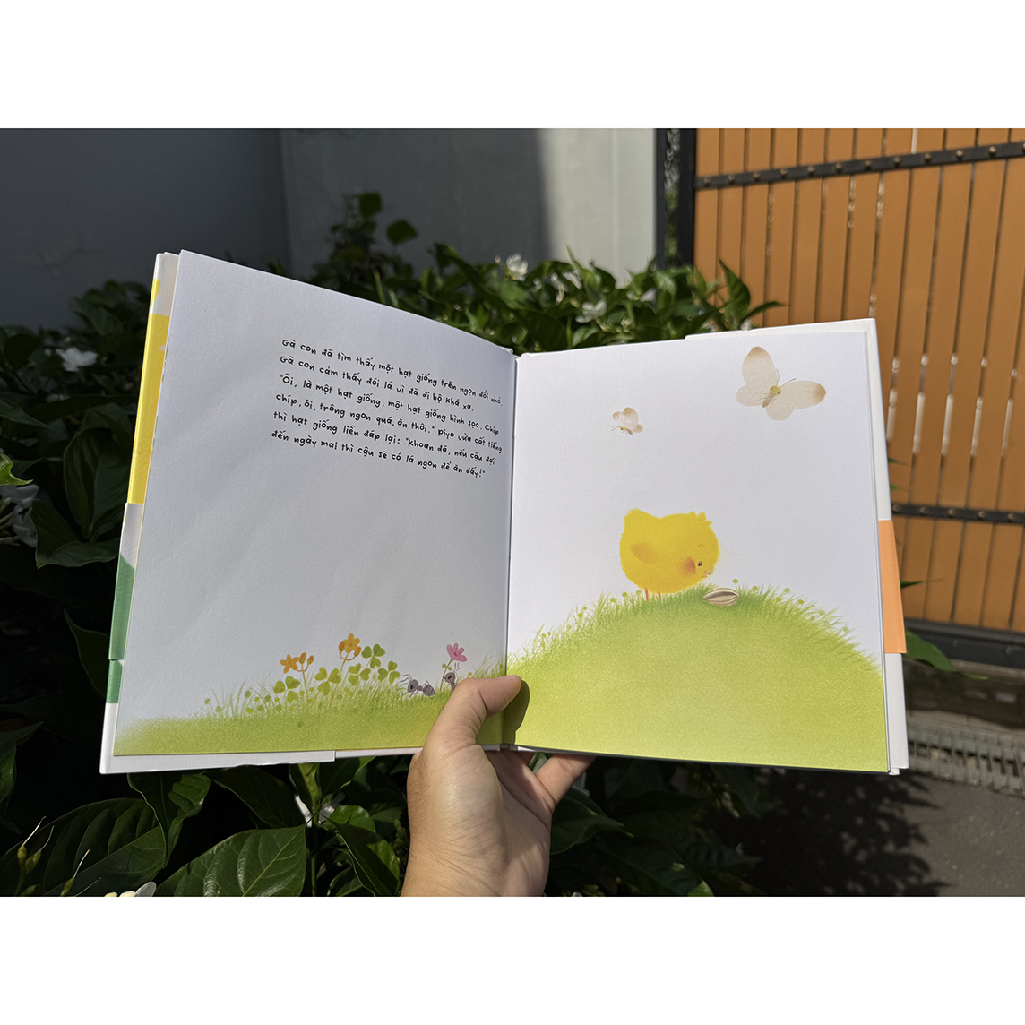 Sách Gà con và hoa hướng dương