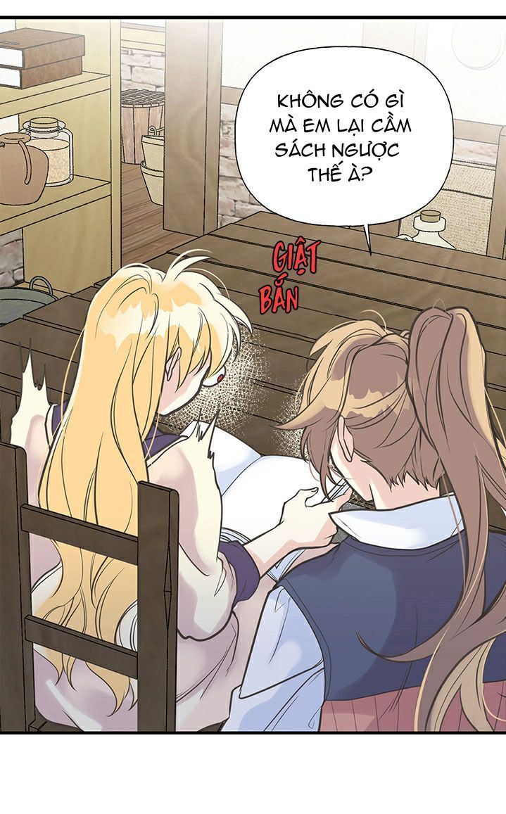 chị tôi đã nhặt về một nam chính quyến rũ chapter 5 50