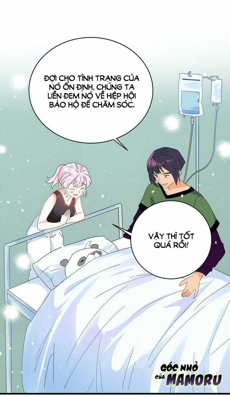 dừng chân nơi trái tim anh chapter 4 19