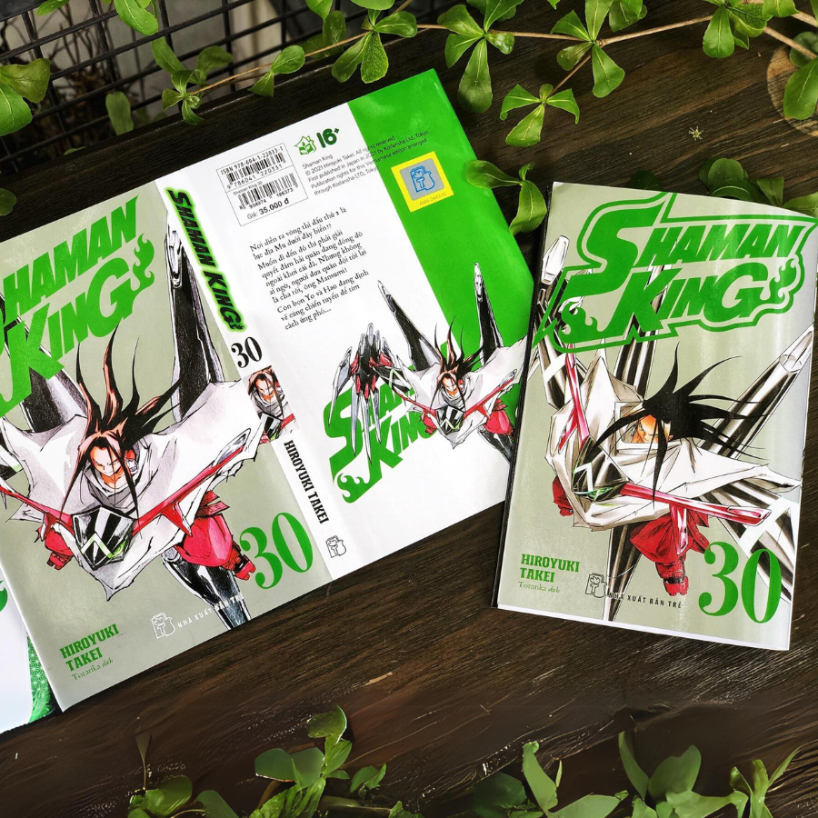 Shaman King 30